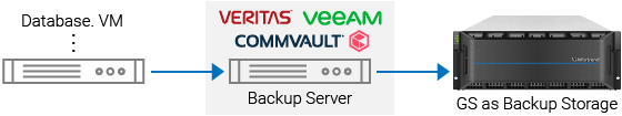GS as Backup Storage